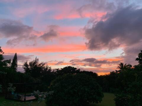 North Shore Garden Suite Haleiwa Ngoại thất bức ảnh