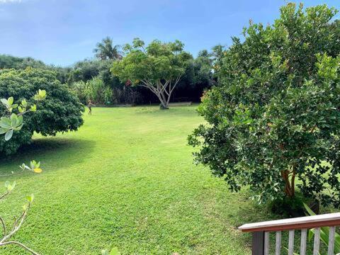 North Shore Garden Suite Haleiwa Ngoại thất bức ảnh